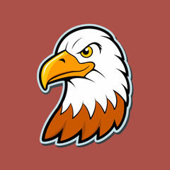 american bald eagle