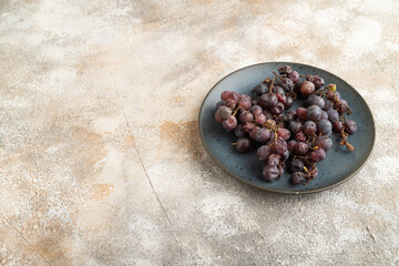 bunches of rotten and dry red wine grapes on branches in autumn. Side view, copy space