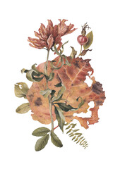 Hand drawn illustration of dried herb. Fall composition. Perfect for posters, home textile, wall decor, apparel, packaging design, stationery and other printed goods