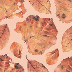 Elegant hand drawn pattern design with illustrations of fallen leaves. Perfect for home textile, wallpapers, fabrics, apparel, packaging design, stationery and other printed goods
