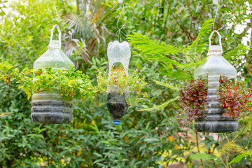vertical hanging garden bed made from plastic bottles in which various flowers and greenery grow in...