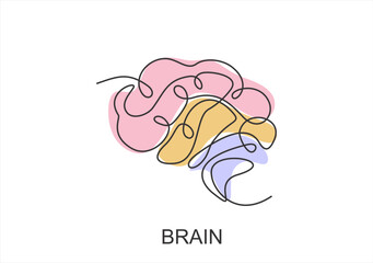 Human Brain in Line Art. line icon-continuous line drawing. Editable stroke.
