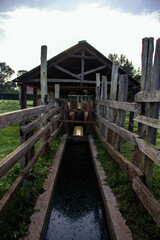 A wooden cattle dip in the countryside