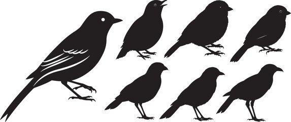 Flying bird wings spread silhouette vector illustration