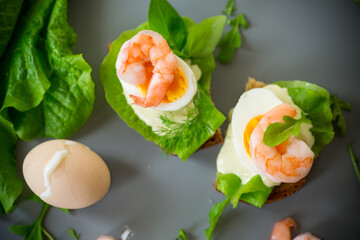 Light sandwich with seafood and greens on gray background