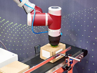 Standard multipurpose arm manipulator robot