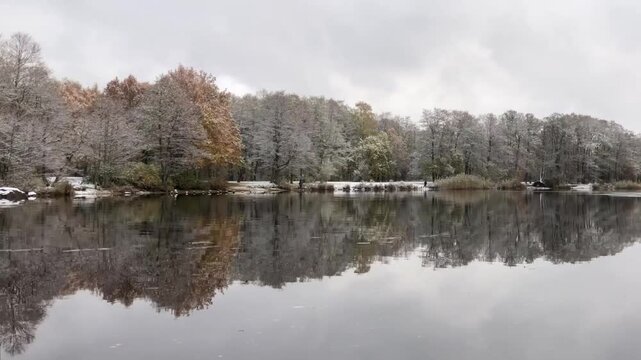 the first snow has covered the trees on the river