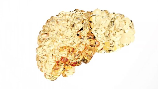 cirrhosis liver fat cancer human health