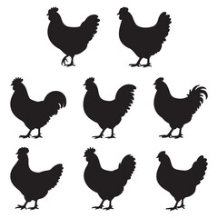 Hen Silhouette Vector Bundle