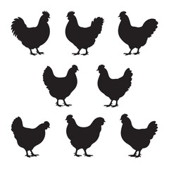 Hen Silhouette Vector Bundle