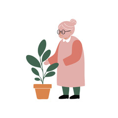 Elderly woman with hair in a bun in a calm and caring mood gently tending to a potted plant against a white background with copy space