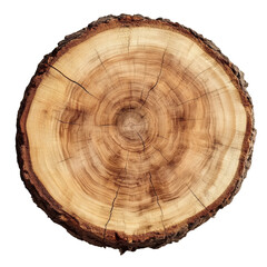 Stunning Cross Section of a Tree Trunk Nature's Intricate Rings and Textures