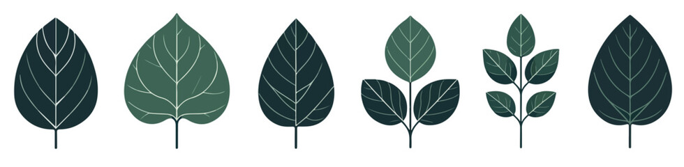 Vector set of houseplant leaves © ngentutgajah