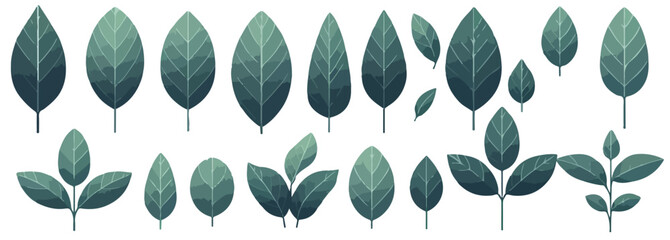 Vector set of houseplant leaves © ngentutgajah