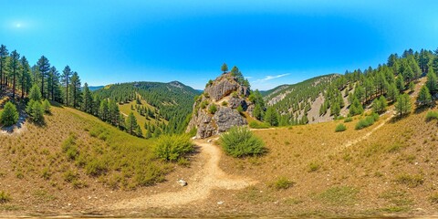 Near mountain in pinery in sunny day - Equirectangular 360 degree landscape