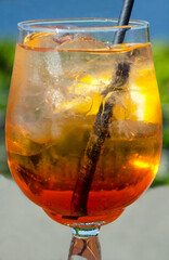 A glass of bright orange Aperol Spritz cocktail against a backdrop of summer greenery.
