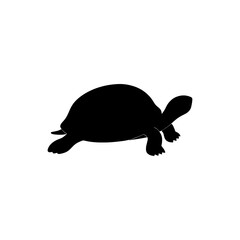 A silhouette of a turtle with a shell on a white background art on white background , no background
