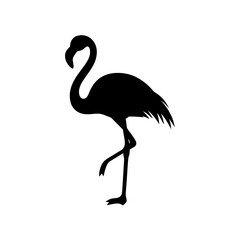 Silhouette of a flamingo standing on one leg against white background on white background , no background