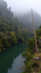 Misty river valley with trees and a pole