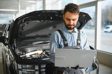Automotive mechanic running diagnostics software on computer. Mechanic doing vehicle diagnostic...