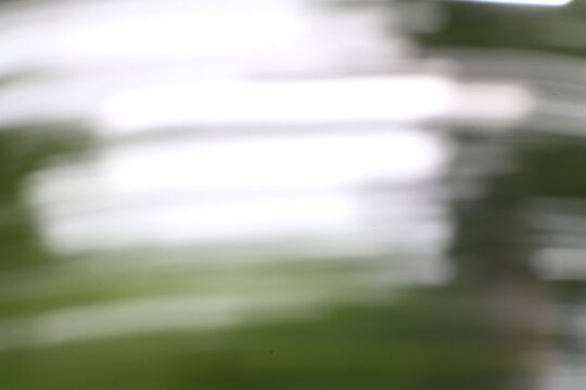 An ethereal motion blur abstract with verdant and white hues in play