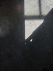 shadow of a man