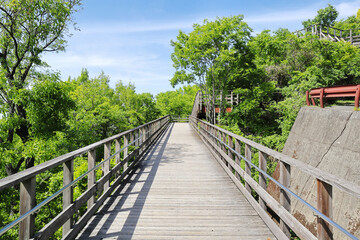 Fototapeta premium なるかわ園地・みはらし広場の歩道