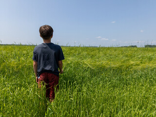 A young boy standing in a field of tall grass