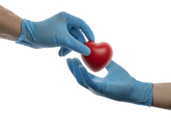 doctor hands giving a red heart, health care, organ donation, family life insurance, world heart day, world health day, praying concept.