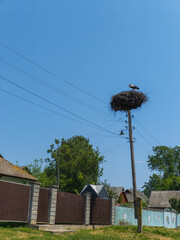 A stork sitting on top of a nest on a column of a power grid