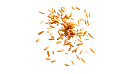 Brown rice grains falling in motion, close-up of whole grain food for healthy diet and nutrition, agricultural crop symbolizing natural farming and organic eating, isolated on transparent background