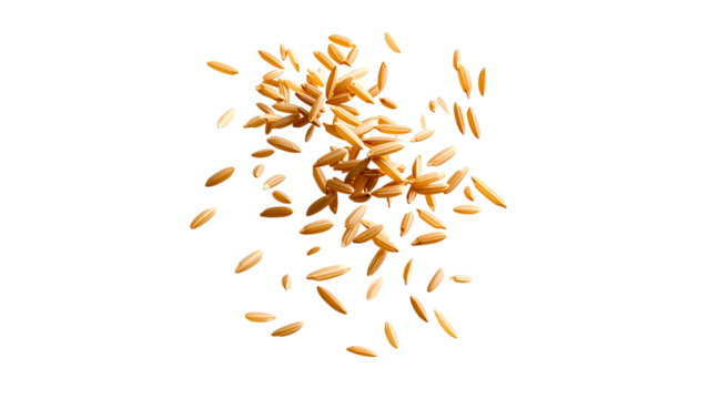 Brown rice grains falling in motion, close-up of whole grain food for healthy diet and nutrition, agricultural crop symbolizing natural farming and organic eating, isolated on transparent background