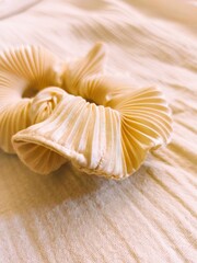 Hair tie, a soft scrunchie 