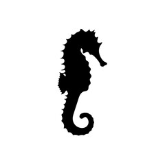 Silhouette illustration of a seahorse on a plain white background on white background , no background © PixGen