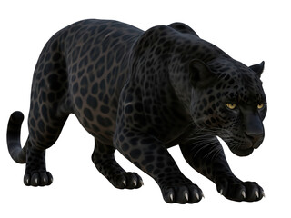 a black panther (melanistic leopard) crouching low, glossy black coat with subtle patterning, fully visible in frame, isolated on a transparent background