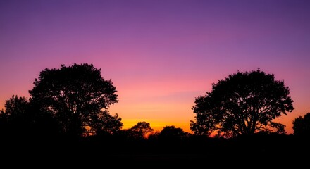 Fototapeta premium Silhouettes of twin trees under golden dusk sky