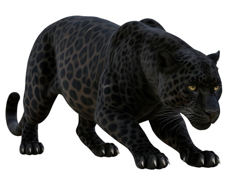 a black panther (melanistic leopard) crouching low, glossy black coat with subtle patterning, fully visible in frame, isolated on a transparent background