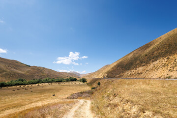 road in the mountains near the farm fields