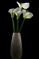 vaso con fiori ,calle
