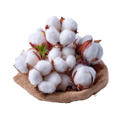 A cluster of fluffy, white cotton bolls arranged in a natural burlap sack, highlighting the organic beauty of cotton as a staple crop.