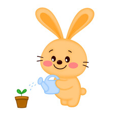 Cute bunny 