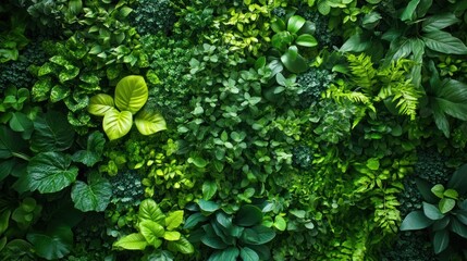 Lush green vertical garden wall, vibrant foliage