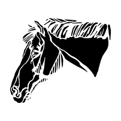 Abstract black silhouette of horse head vector illustration