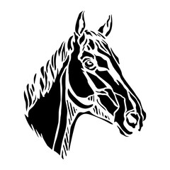 Profile view horse head silhouette isolated vector illustration