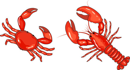 Colorful Illustration of a Crab and Lobster With Detailed Anatomy
