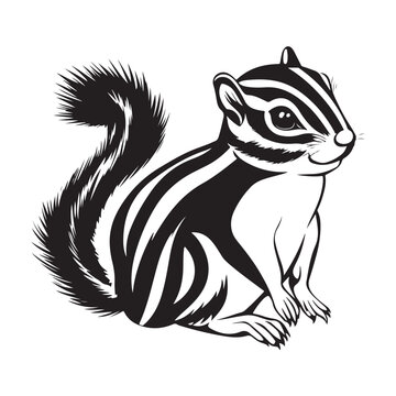 Siberian chipmunk is standing on the ground