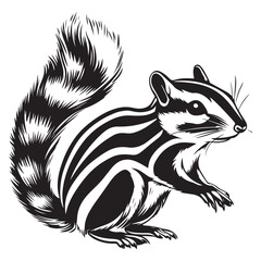 Siberian chipmunk is standing on the ground