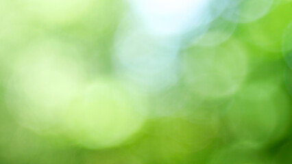 Blurred green background in nature in park, blur circles, vintage lens bokeh, bright