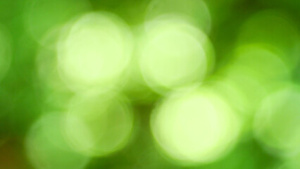 Obraz premium Blurred green background in nature in park, blur circles, vintage lens bokeh, bright