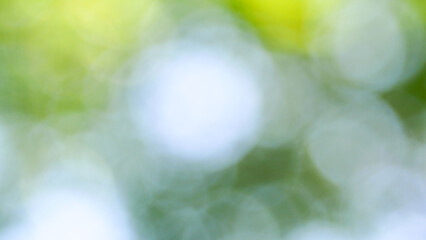 Blurred green background in nature in park, blur circles, vintage lens bokeh, bright